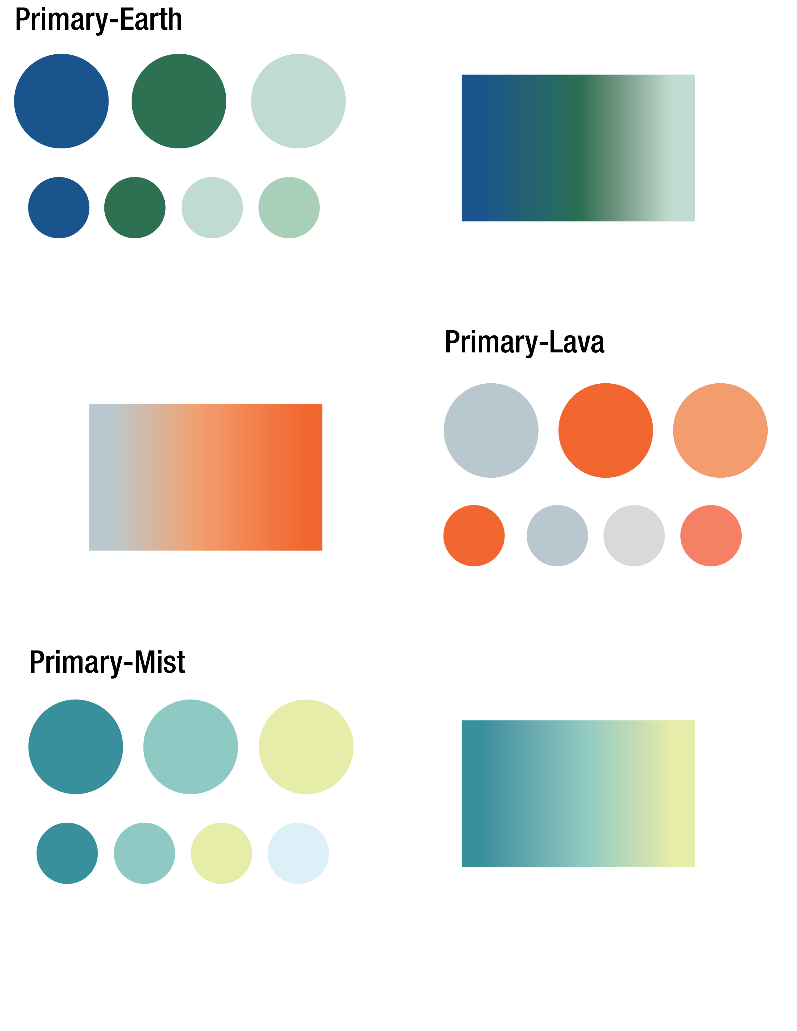 Brand Color Palette